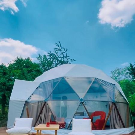 Phalesia Glamping Otel Sapanca Ngoại thất bức ảnh