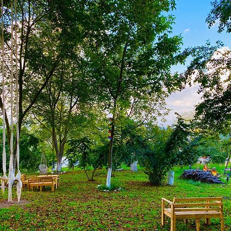 Phalesia Glamping Otel Sapanca Ngoại thất bức ảnh