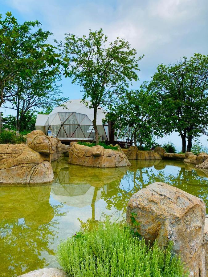 Phalesia Glamping Otel Sapanca Ngoại thất bức ảnh
