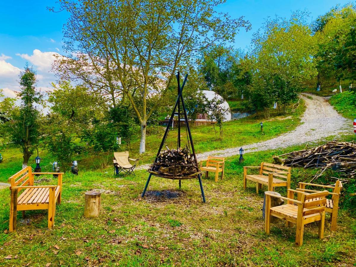 Phalesia Glamping Otel Sapanca Ngoại thất bức ảnh