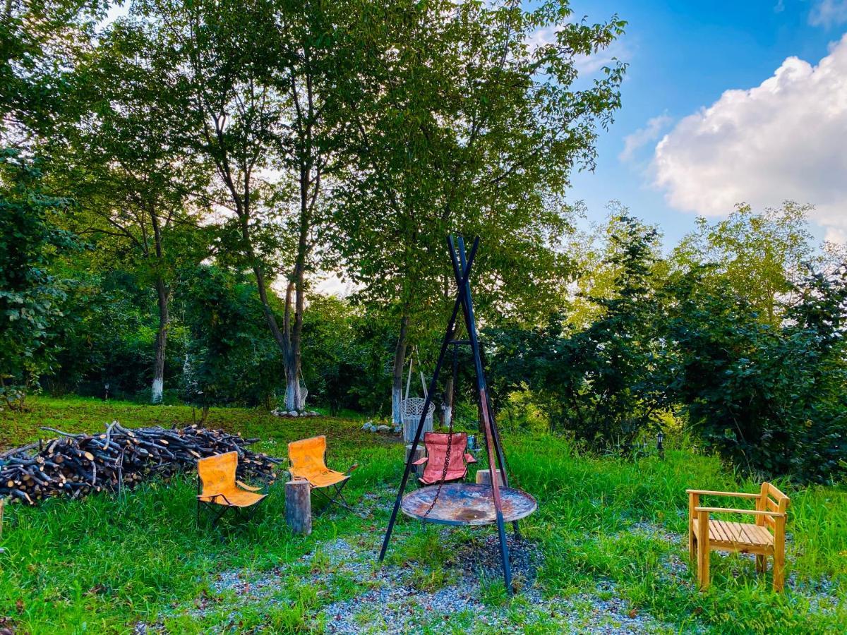 Phalesia Glamping Otel Sapanca Ngoại thất bức ảnh