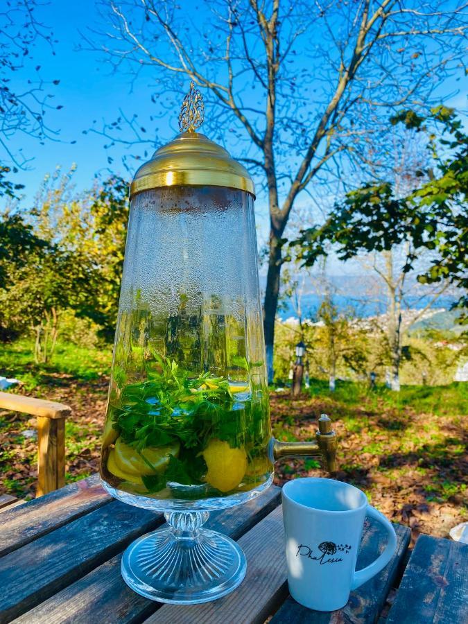 Phalesia Glamping Otel Sapanca Ngoại thất bức ảnh