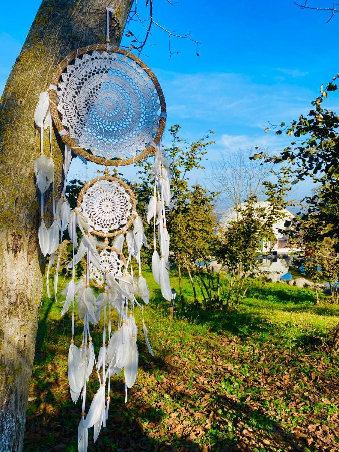 Phalesia Glamping Otel Sapanca Ngoại thất bức ảnh
