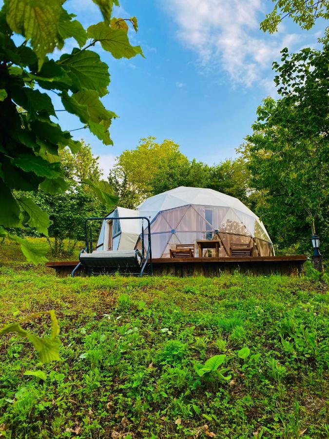 Phalesia Glamping Otel Sapanca Ngoại thất bức ảnh