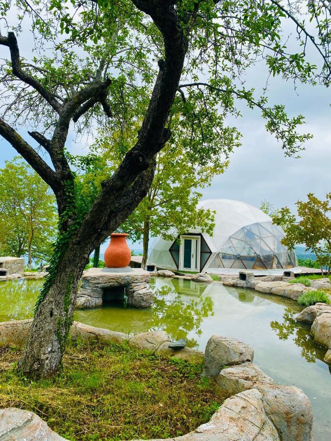 Phalesia Glamping Otel Sapanca Ngoại thất bức ảnh