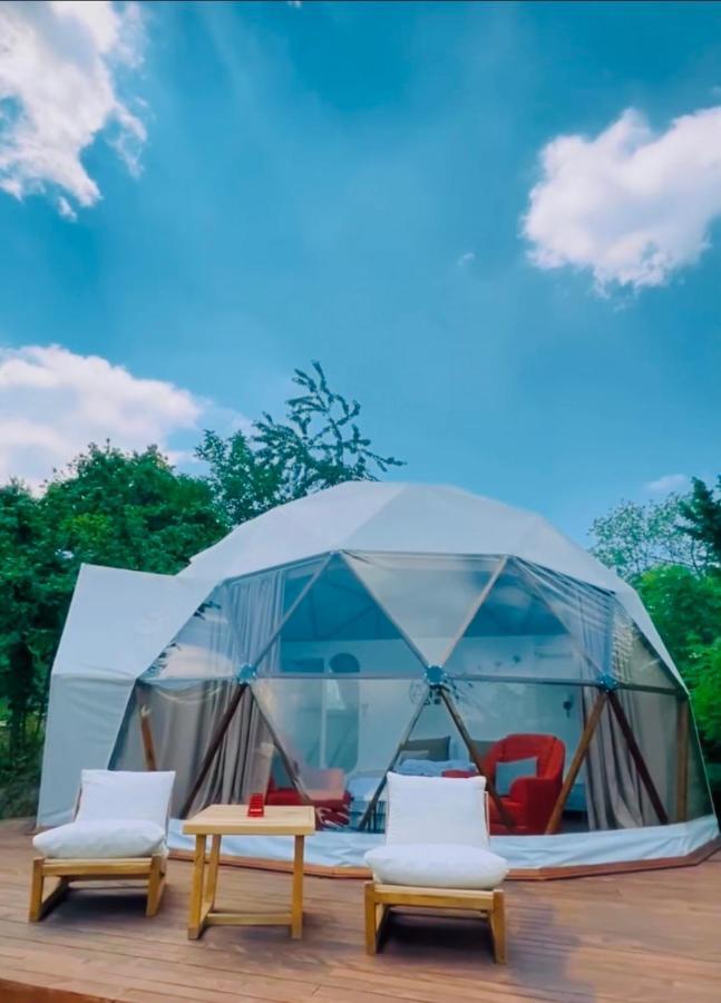 Phalesia Glamping Otel Sapanca Ngoại thất bức ảnh