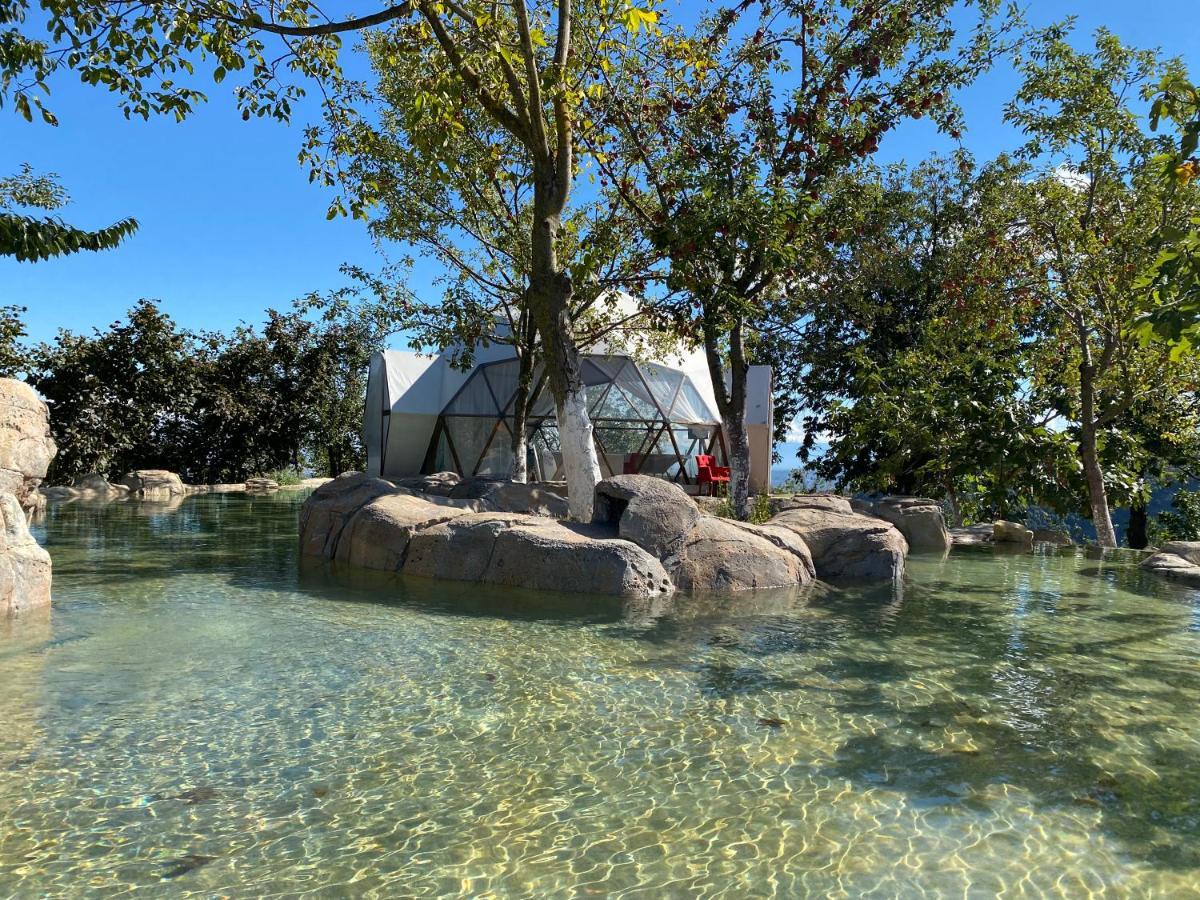 Phalesia Glamping Otel Sapanca Ngoại thất bức ảnh