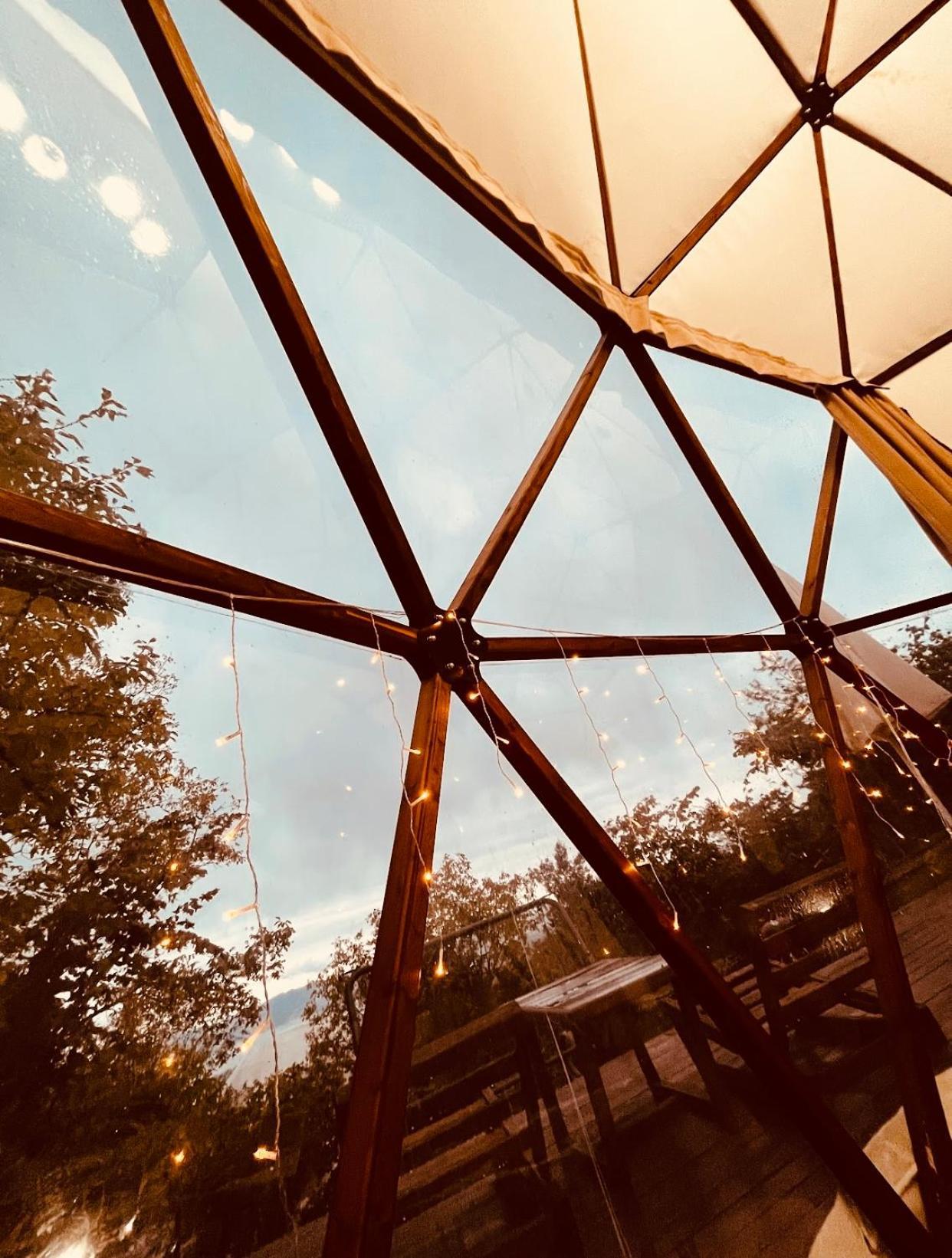 Phalesia Glamping Otel Sapanca Ngoại thất bức ảnh