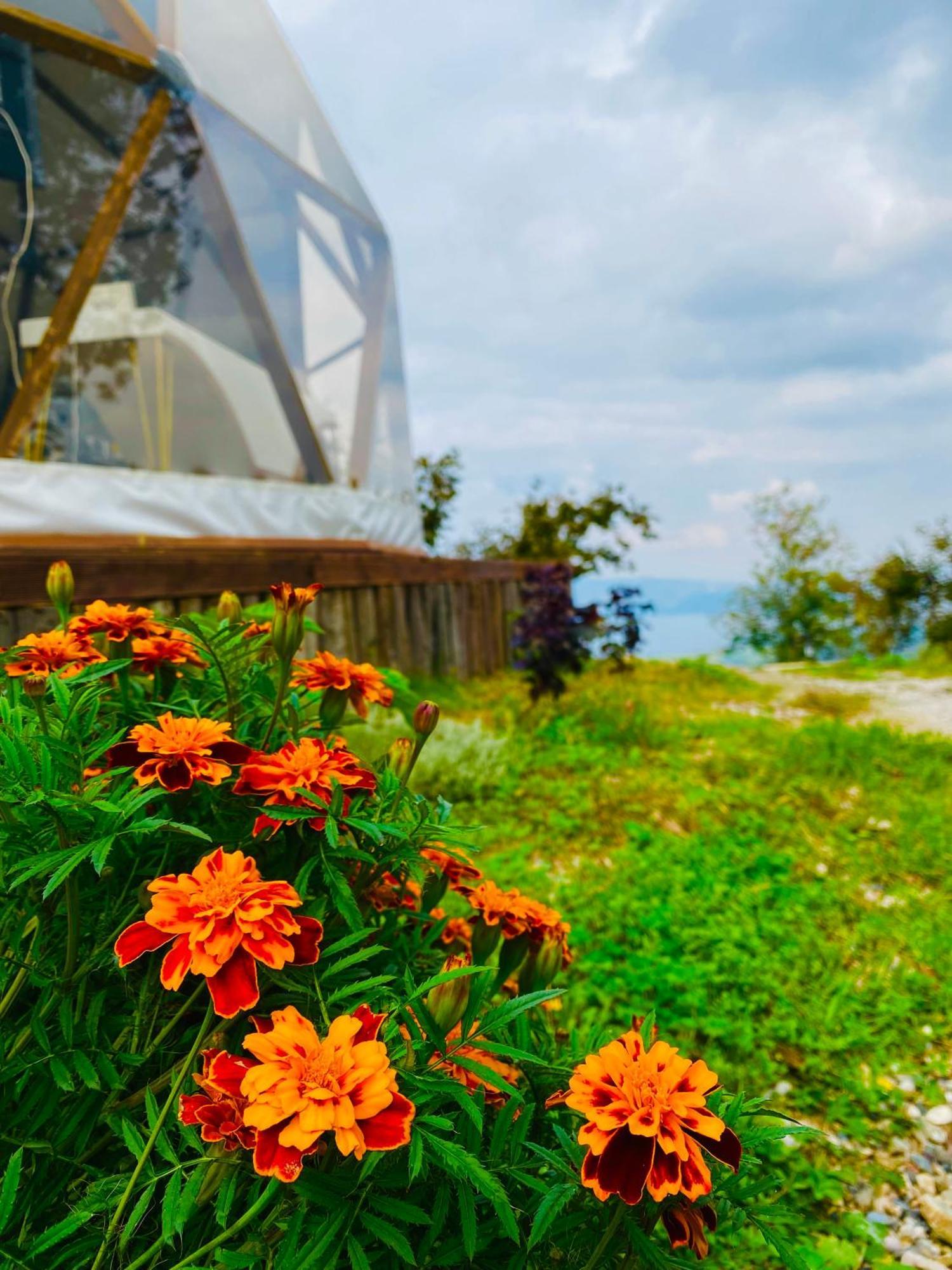 Phalesia Glamping Otel Sapanca Ngoại thất bức ảnh