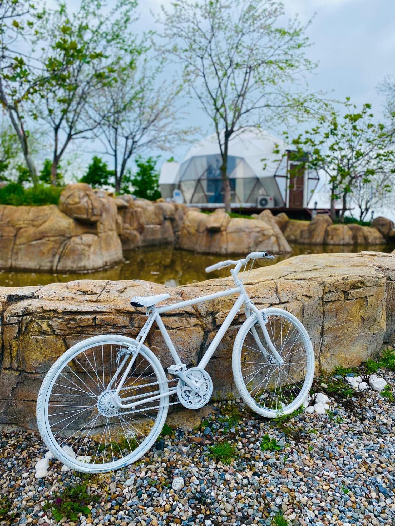 Phalesia Glamping Otel Sapanca Ngoại thất bức ảnh