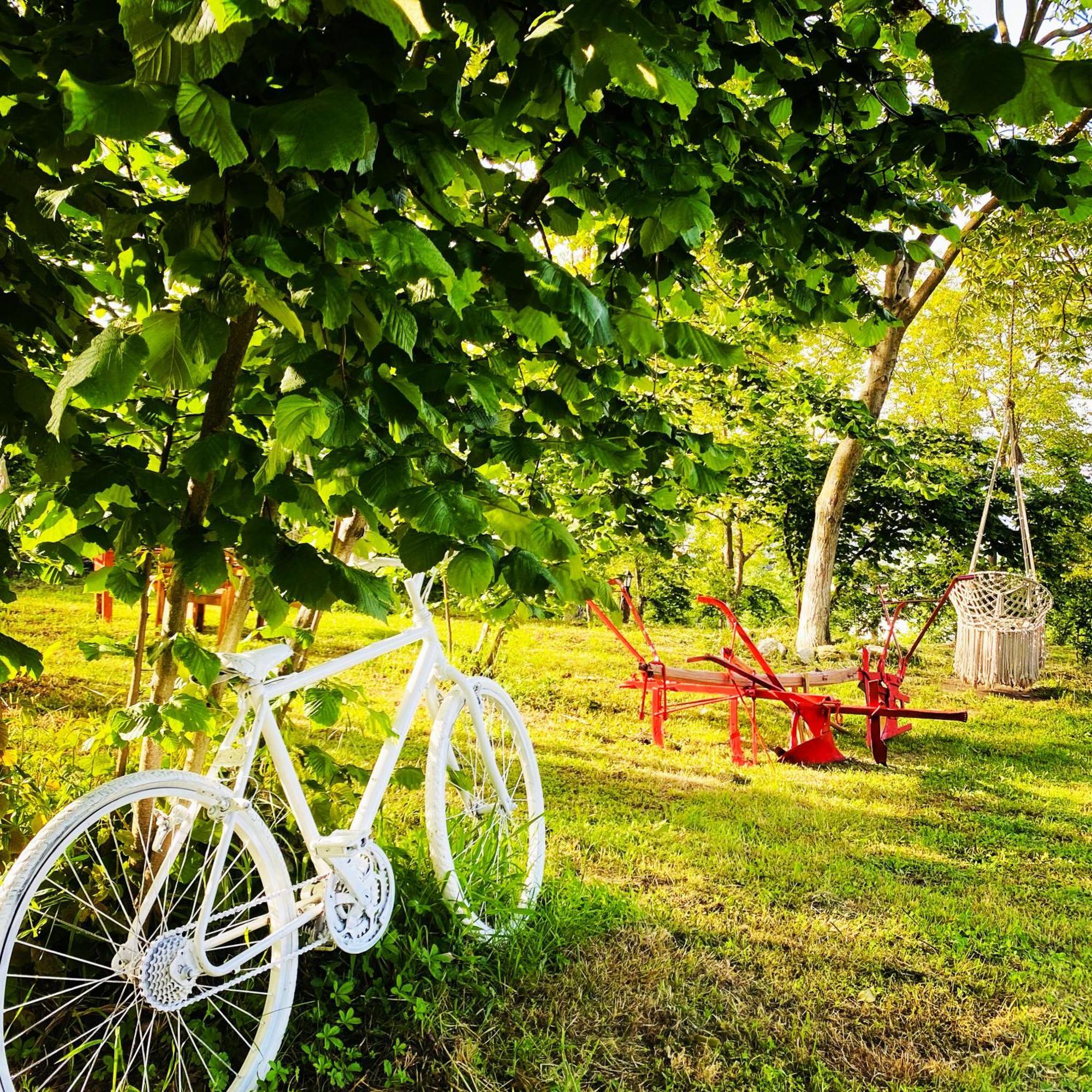 Phalesia Glamping Otel Sapanca Ngoại thất bức ảnh
